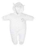 Baby Bear Pramsuit